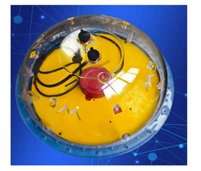 The Application Value Of Wave Tracking Buoys in Continuous Ocean Wave Observa...