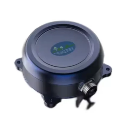 The Role Of Buoy Data Systems in Modern Ocean Observation