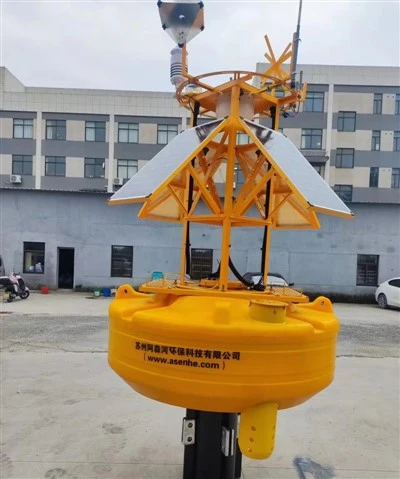 Instrumented Buoy
